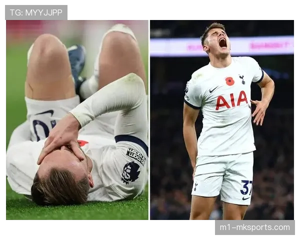 帕尔希尼亚铲球25次拦截数据亮眼 热刺后腰防守强悍